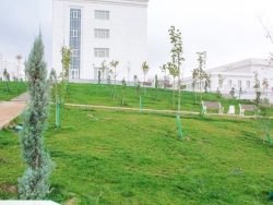 Bilim Bakanlığı Orta Mektep - Türkmenistan